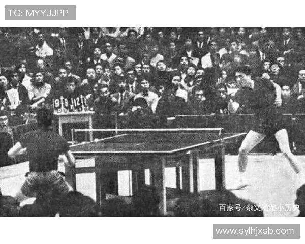 重庆乒乓球队进攻战术解析与技术特点深度剖析