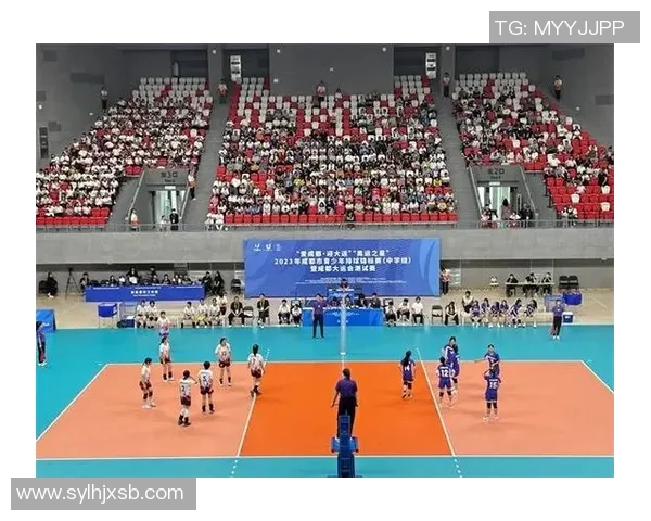 成都排球队勇闯杯赛之路的辉煌历程与奋斗精神探秘