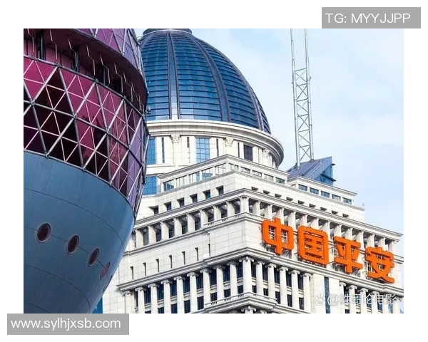 深圳羽毛球队转型之路的挑战与机遇分析